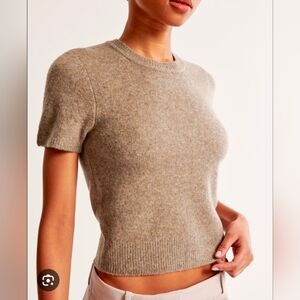Abercrombie & Fitch Short Sleeve Knit Top in Heather Taupe